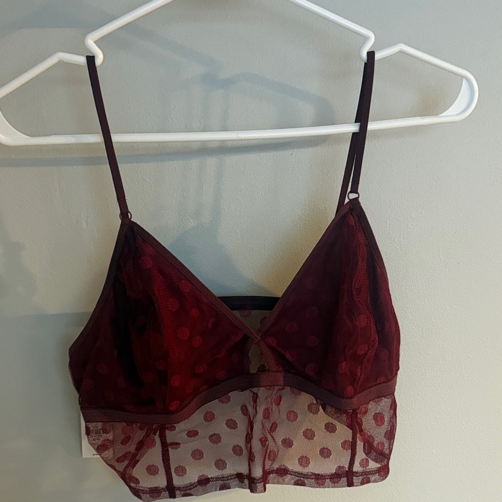 Express Burgundy Sheer Polka Dot Bralette